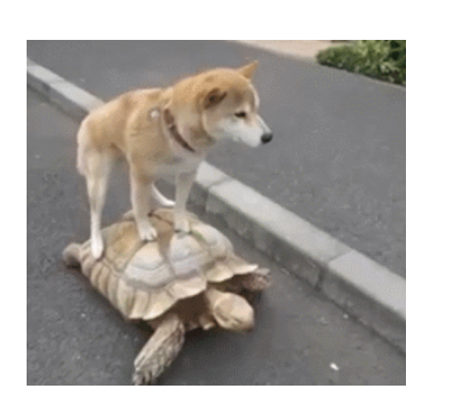 1564740884586820.png QQ截圖20190802181158.png